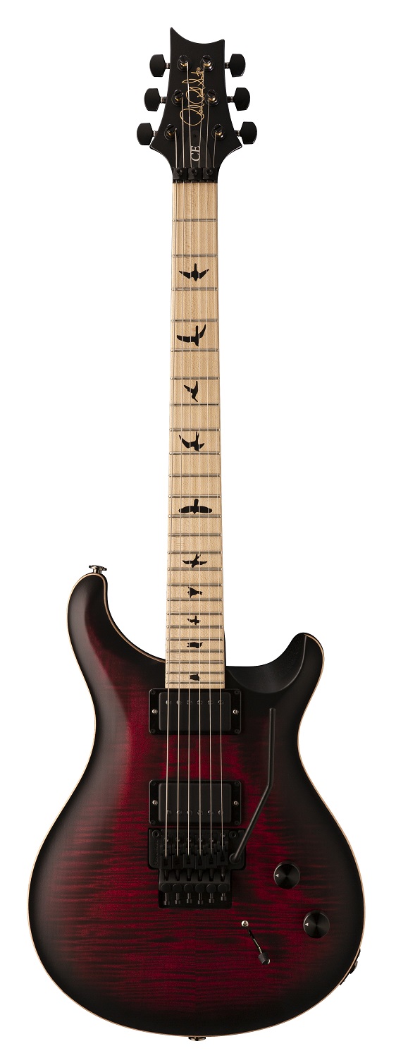 PRS DW CE 24 Floyd (Waring Burst) — front view