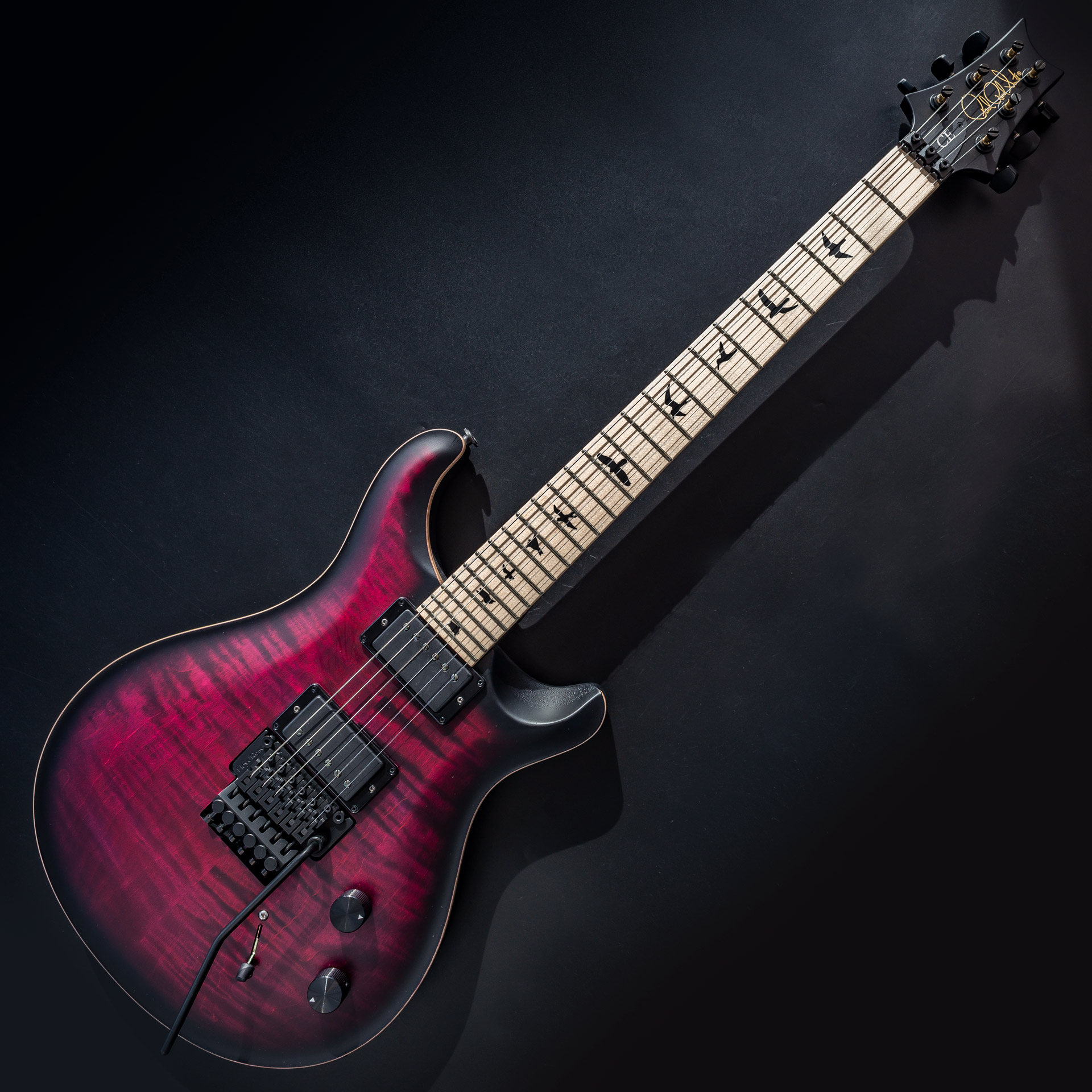 PRS DW CE 24 Floyd (Waring Burst) — angled view