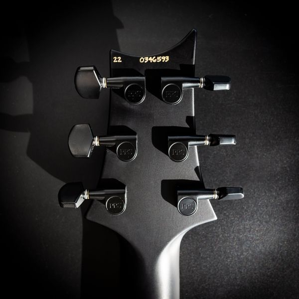 Электрогитара PRS DW CE 24 FLOYD (Waring Burst) 39997 фото