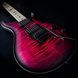 Электрогитара PRS DW CE 24 FLOYD (Waring Burst) 39997 фото 5