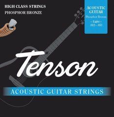 Струны для акустической гитары Tenson Phosphor Bronze, 12-53 G-F600750 фото