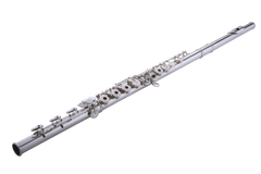 Флейта Altus AS-A12 REO-S ASA12REO-S фото