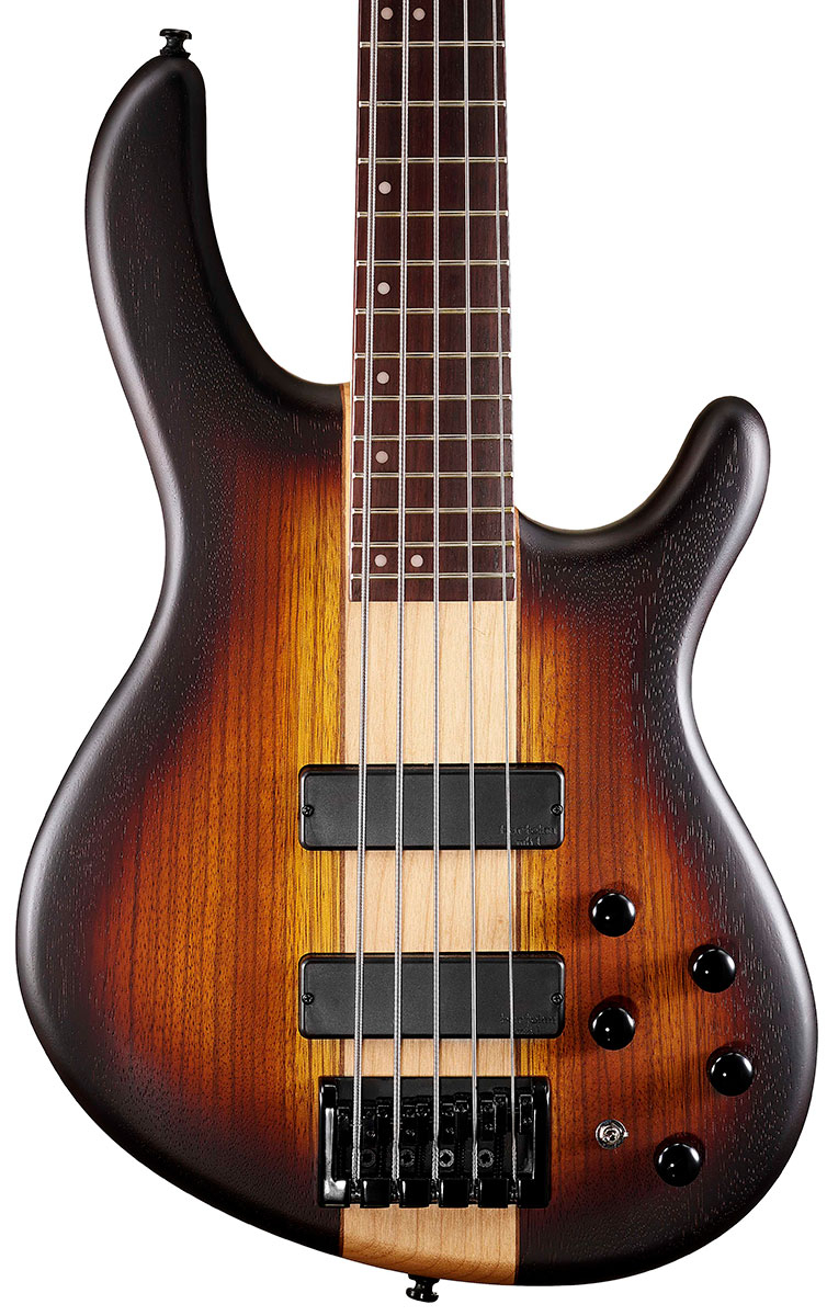 CORT C5 Plus ZBMH (Open Pore Tobacco Burst) — детали конструкции