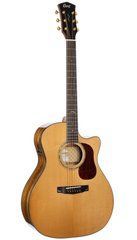 Електрогітара CORT GOLD-A6 Bocote (Natural) 40394 фото