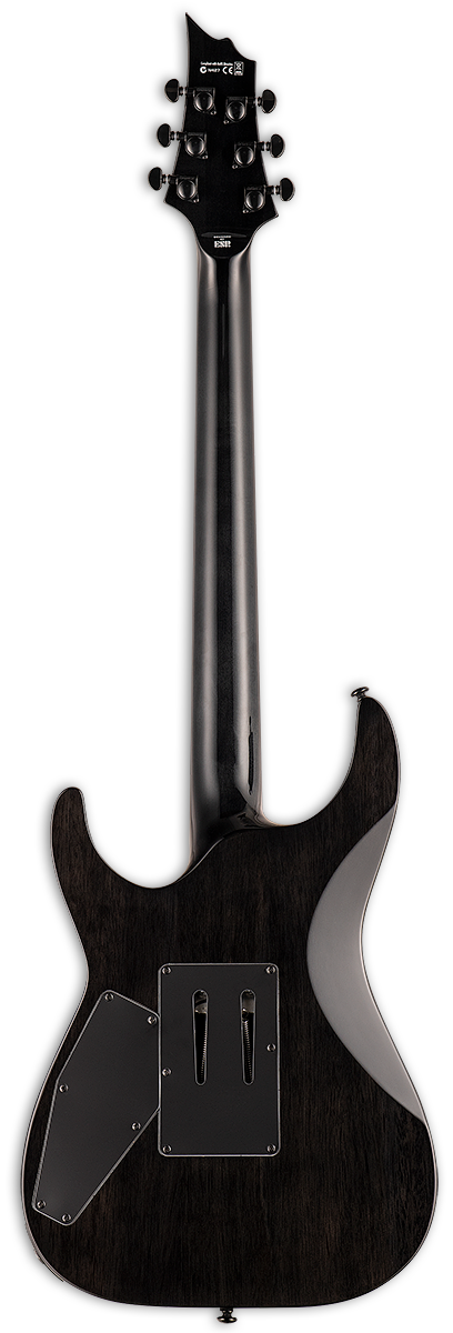 LTD H-1001FR BP Black Natural Burst — вид сзади