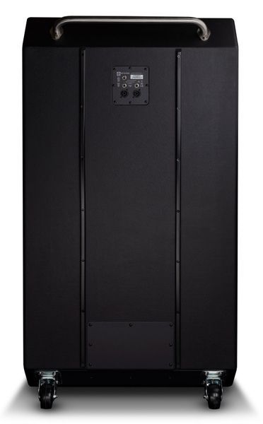 AMPEG HERITAGE SVT-810AV SPEAKER CABINET 39096 фото