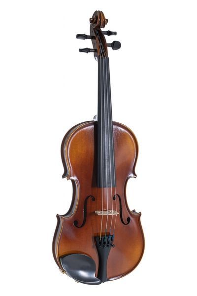 Скрипка Gewa Blackwood 4/4 (с футляром) G-GS400051BW фото