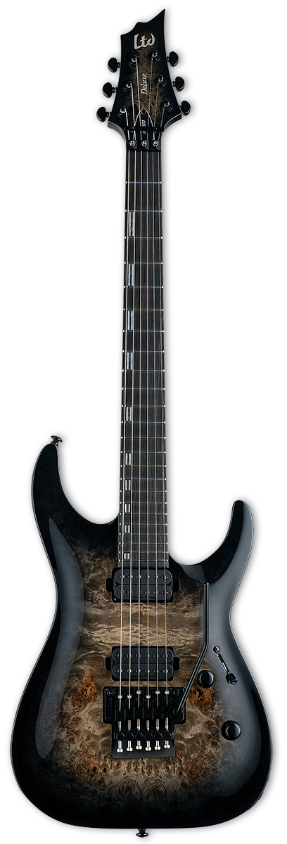 LTD H-1001FR BP Black Natural Burst — вид спереди