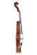 Скрипка Gewa Blackwood 4/4 (с футляром) G-GS400051BW фото 4