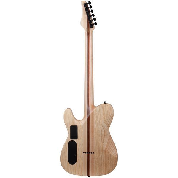 Электрогитара SCHECTER PT SLS Elite Blood Burst 566424 фото