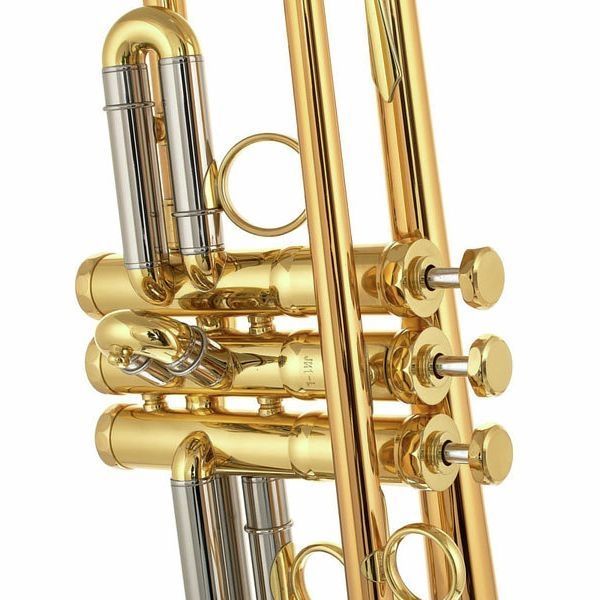 Труба Bb Schagerl James Morrison JM1-L 473572 фото