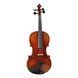 Скрипка Strunal Stradivarius 15w 4/4 Strunal-15W 4/4 фото 1