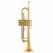 Труба Bb Schagerl James Morrison JM1-L 473572 фото 1