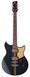 Електрогітара YAMAHA REVSTAR PROFESSIONAL RSP20X (Rusty Brass Charcoal) 40282 фото 4