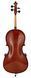 STENTOR 1108/E STUDENT II CELLO OUTFIT 1/2 32040 фото 2