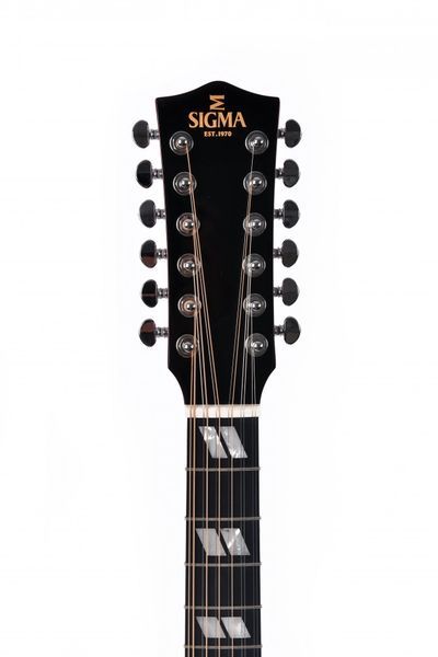 Акустическая гитара 12-струнная Sigma DM12-SG5 (с мягким кейсом) 126579 фото