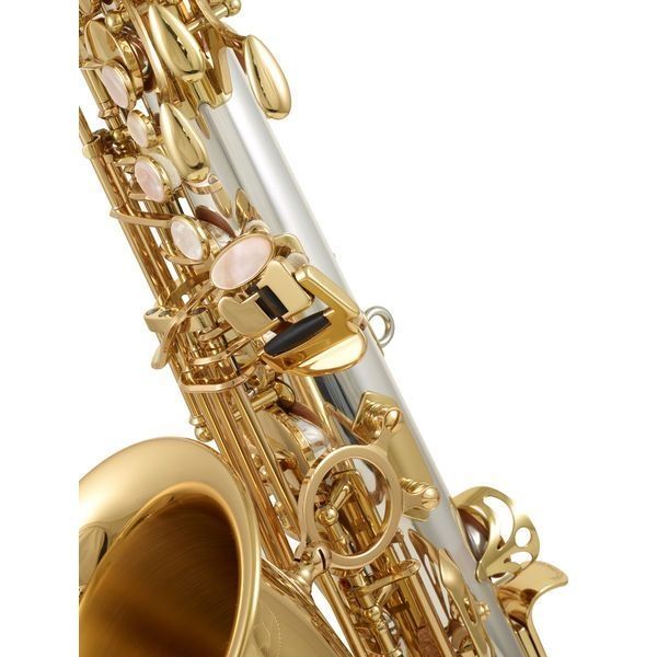 Альт-саксофон Yanagisawa A-WO30 Elite 334490 фото