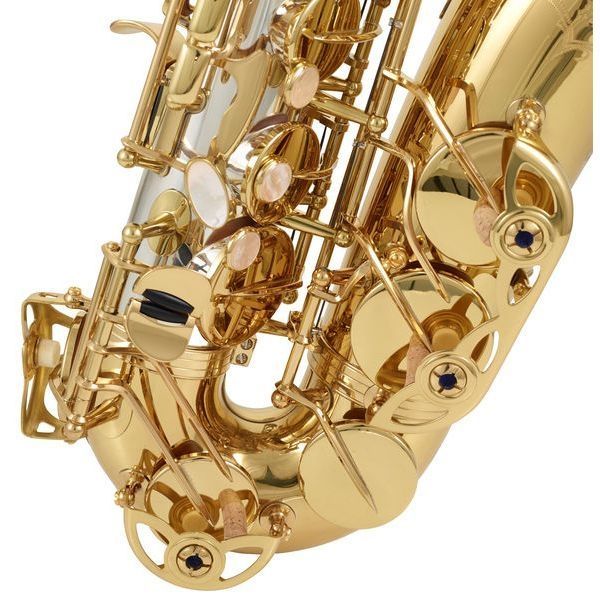Альт-саксофон Yanagisawa A-WO30 Elite 334490 фото