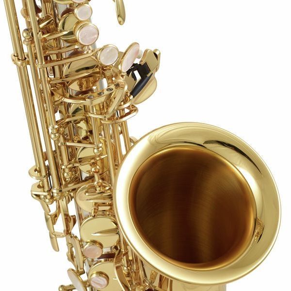 Альт-саксофон Yanagisawa A-WO30 Elite 334490 фото