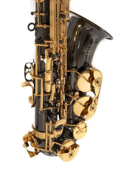 Roy Benson Alto Saxophone AS-202K G-RB700603 photo