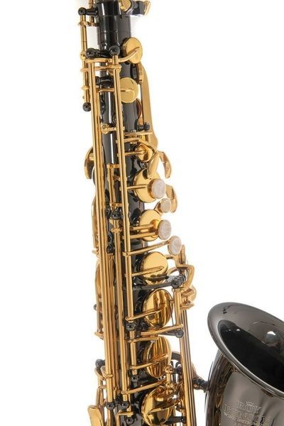 Roy Benson Alto Saxophone AS-202K G-RB700603 photo