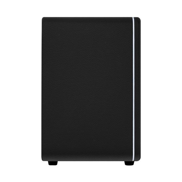 MOOER Hornet 30i (Black) 41592 фото