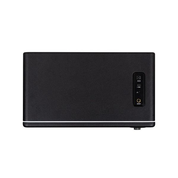 MOOER Hornet 30i (Black) 41592 фото