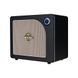 MOOER Hornet 30i (Black) 41592 фото 2