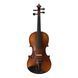 Скрипка Strunal Stradivarius 920A Strunal-920A 4/4 фото 1