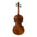 Скрипка Strunal Stradivarius 920A Strunal-920A 4/4 фото 2