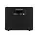 MOOER Hornet 30i (Black) 41592 фото 5
