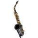 Thomann Alto Saxophone TAS-180 Black 475544 photo 1