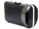 Bb Baritone (student) Wessex BR12 BR12-L photo 4