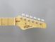 FGN BST-M/BK ODYSSEY BOUNDARY SERIES (Black) Electric Guitar 41037 photo 6