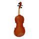 Скрипка Strunal Stradivarius 175wA 4/4 Strunal-175wA 4/4 фото 2
