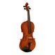 Скрипка Strunal Stradivarius 175wA 4/4 Strunal-175wA 4/4 фото 1