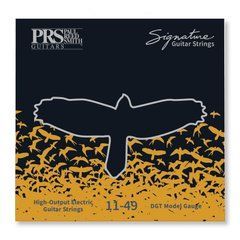 PRS Signature David Grissom Guitar Strings 11-49 40124 фото