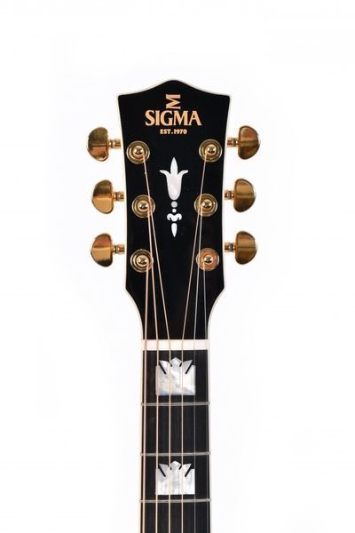 Акустическая гитара Sigma SGJA-SG200 (с мягким кейсом) 126261 фото
