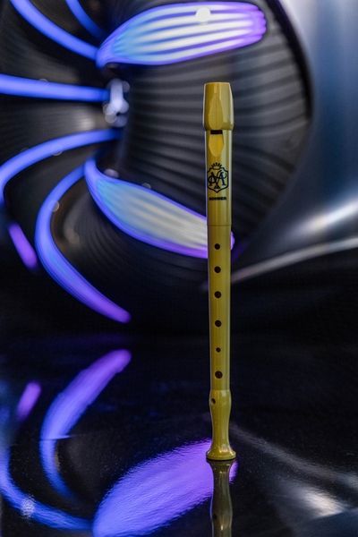 Блокфлейта Hohner The Magic Flute B9508TMF (германская система) 129003 фото