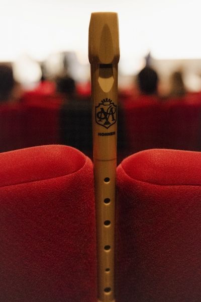 Блокфлейта Hohner The Magic Flute B9508TMF (германская система) 129003 фото