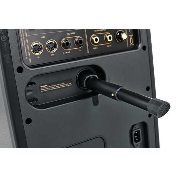 Смарт-комбопідсилювач Positive Grid Spark Live 584591 фото