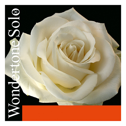 Комплект струн Pirastro Wondertone Solo 4/4 для скрипки Ля-сталь (Мі-кулька) — упаковка