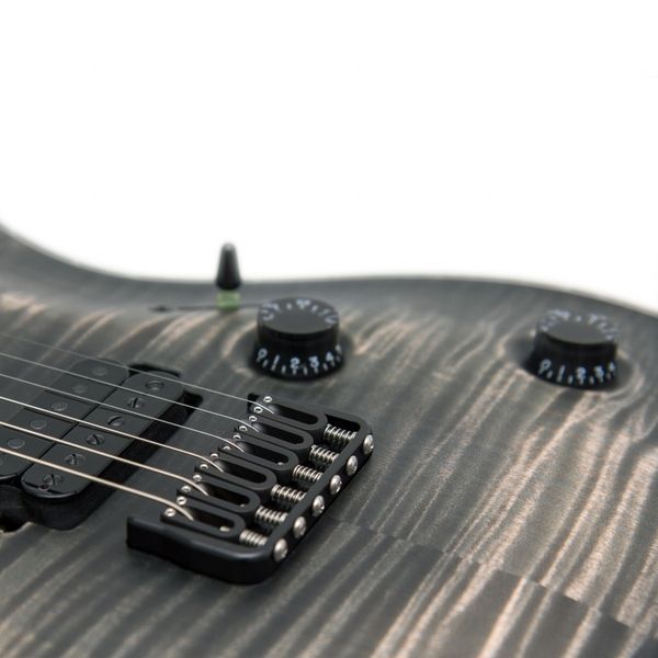 Электрогитара Mayones Regius Core 6 Flamed Maple 3A/Swamp Ash Antique Black Matt (RF2311784) 128141 фото