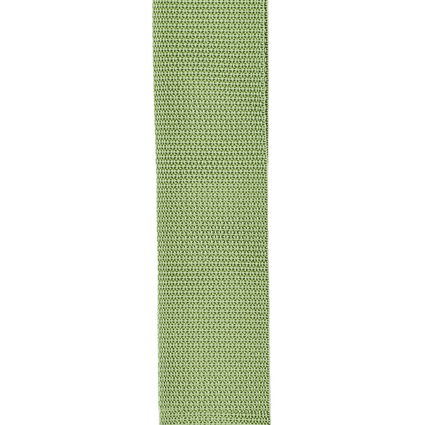 D'ADDARIO PWS107 POLYPRO GUITAR STRAP (GREEN) 22071 фото