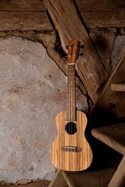 Укулеле Ortega Timber RFU11Z Concert Zebrawood (с чехлом) 128673 фото