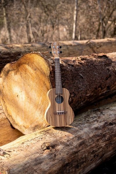 Укулеле Ortega Timber RFU11Z Concert Zebrawood (с чехлом) 128673 фото