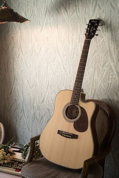 CORT MR500E (Open Pore) 40401 фото