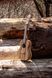 Укулеле Ortega Timber RFU11Z Concert Zebrawood (с чехлом) 128673 фото 16