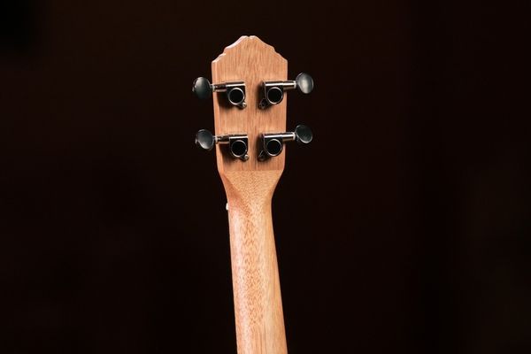 Укулеле Ortega Timber RFU11Z Concert Zebrawood (с чехлом) 128673 фото