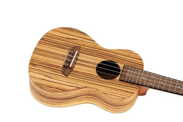 Укулеле Ortega Timber RFU11Z Concert Zebrawood (с чехлом) 128673 фото